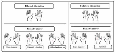 When Right Goes Left: Phantom Touch Induced by Mirror Box Procedure in Healthy Individuals